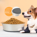 Stainless Steel Pet Bowl with Silicone Base for Dogs & Cats