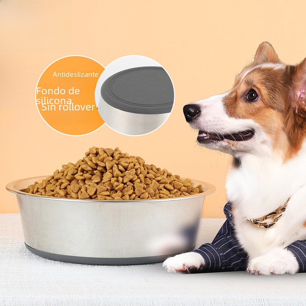 Stainless Steel Pet Bowl with Silicone Base for Dogs & Cats